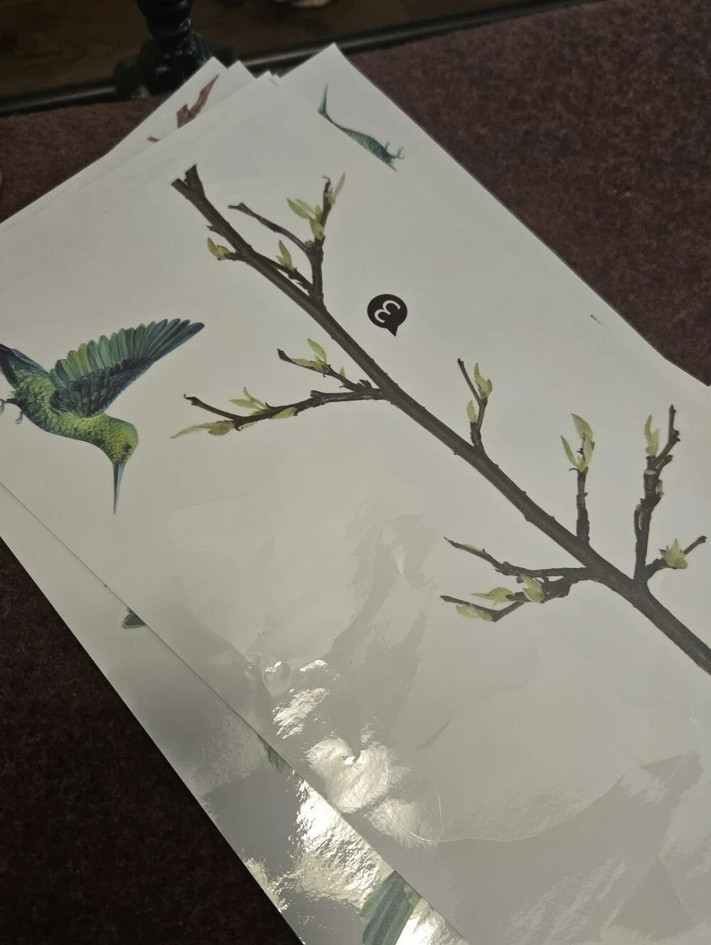 Bird & Branch Vinyl Window Clings Reusable No Adhesive